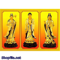 Phật Giáo